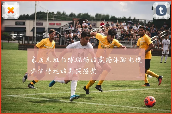 亲历文班打球现场的震撼体验电视无法传达的真实感受