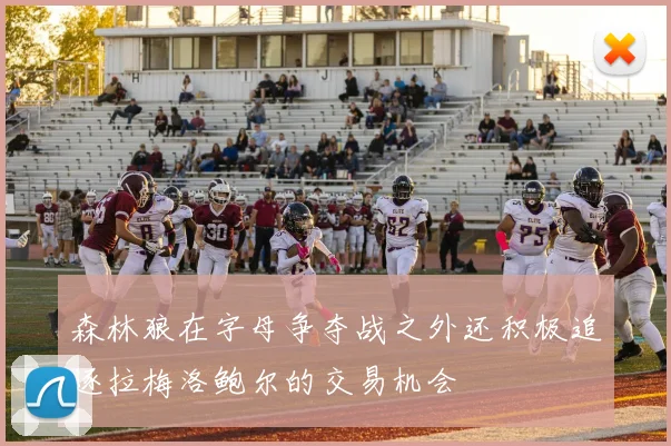 森林狼在字母争夺战之外还积极追逐拉梅洛鲍尔的交易机会